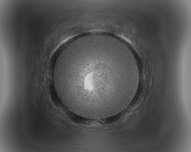 X0000086081255200703301120