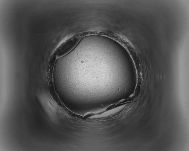 X0000086081256200703301120