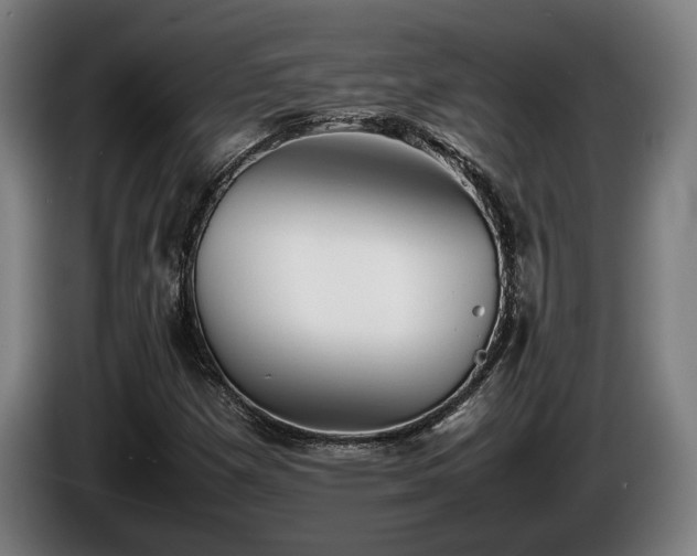 X0000086081257200703301120