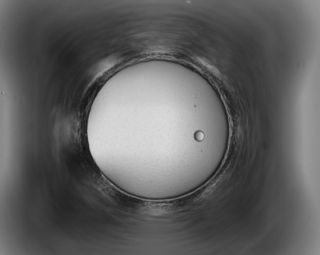 X0000086081258200703301120