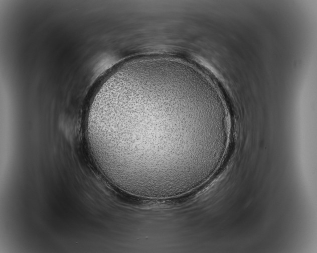 X0000086081259200703301120