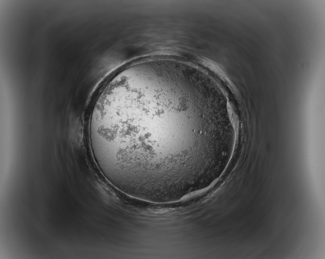 X0000086081260200703301120