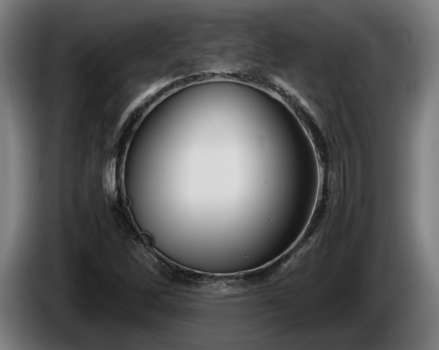 X0000086081262200703301120