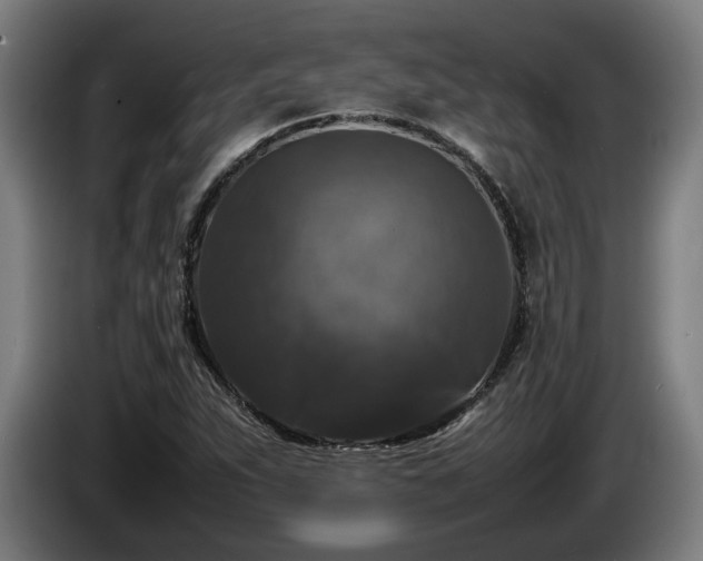 X0000086081263200703301120