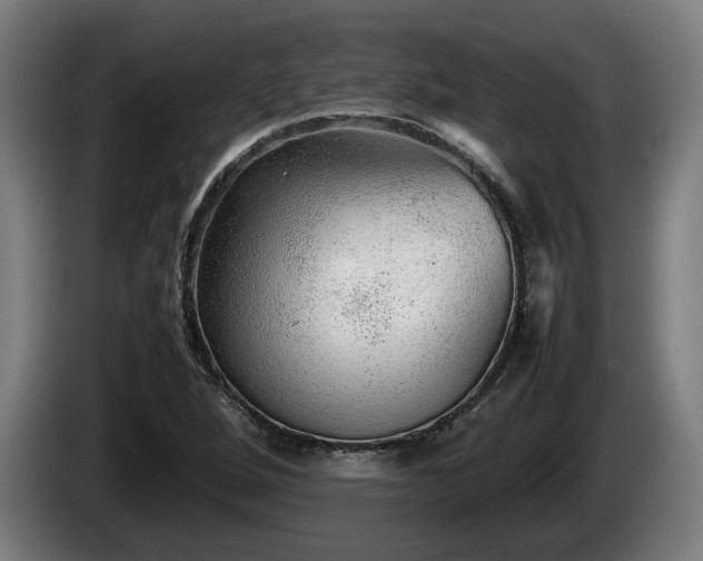 X0000086081264200703301120