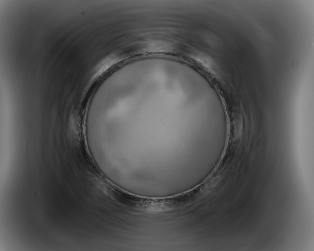 X0000086081266200703301120