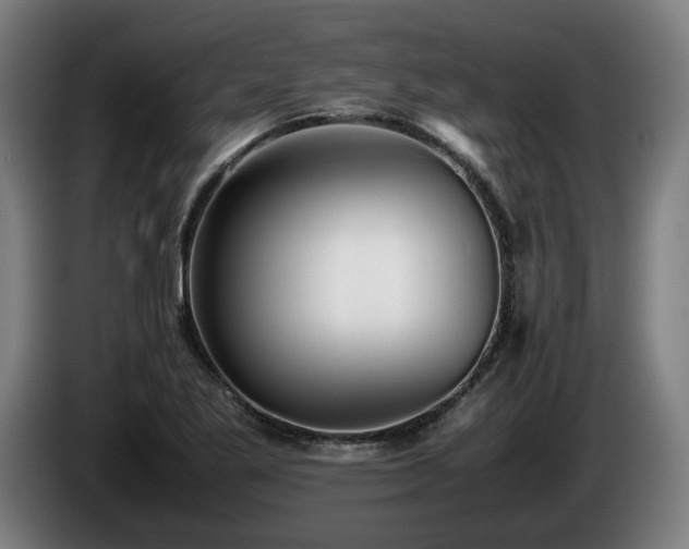 X0000086081269200703301120