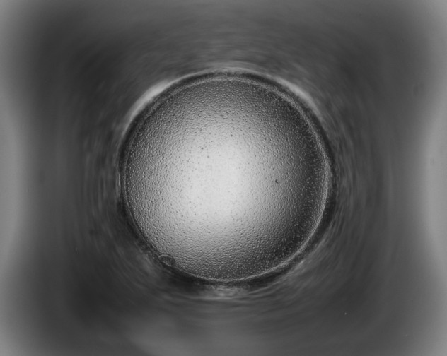 X0000086081271200703301120