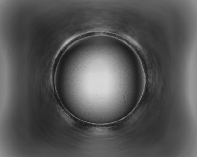 X0000086081272200703301120