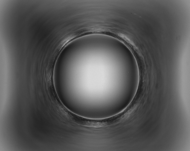 X0000086081273200703301120