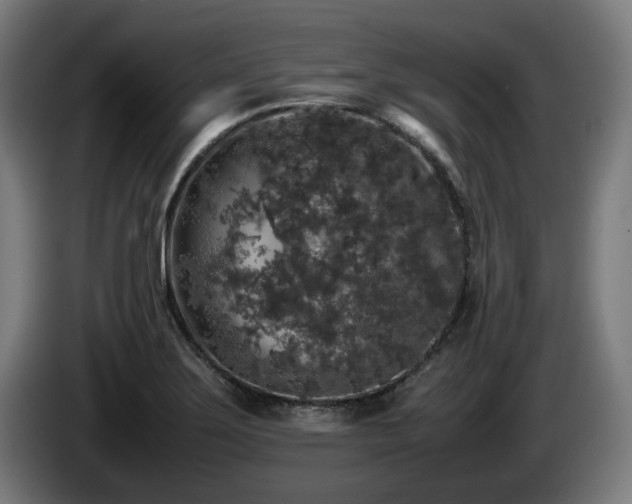 X0000086081275200703301120