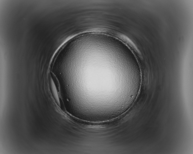 X0000086081276200703301120