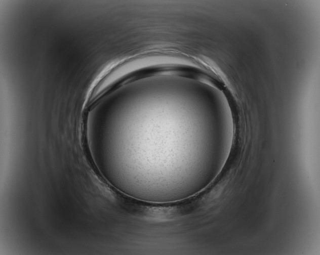 X0000086081277200703301120