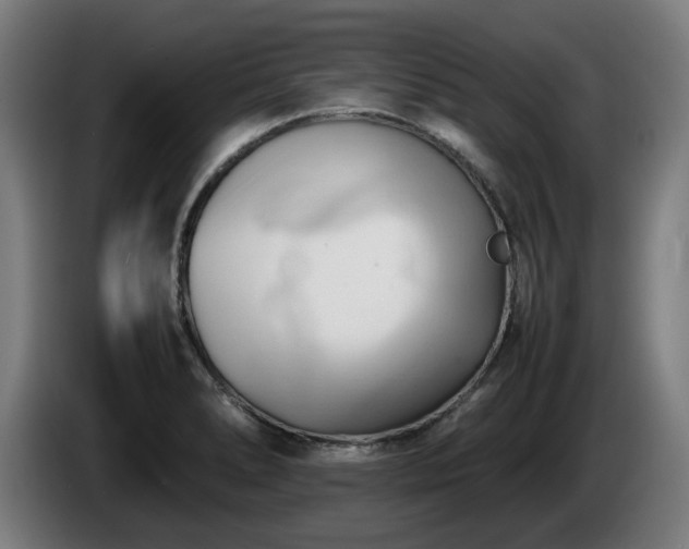 X0000086081278200703301120