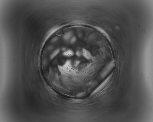 X0000086081279200703301120