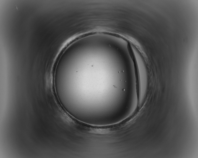 X0000086081280200703301120