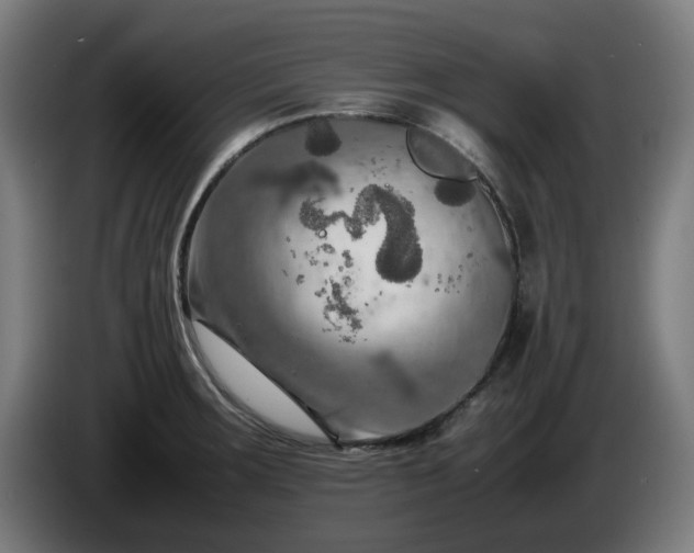 X0000086081283200703301120