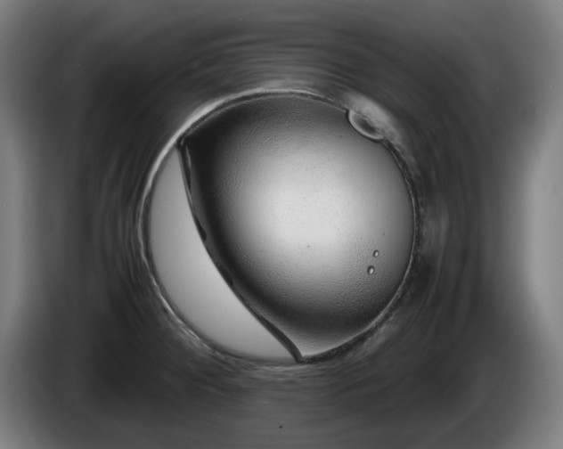 X0000086081284200703301120