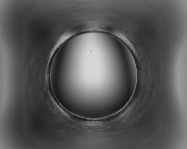 X0000086081285200703301120