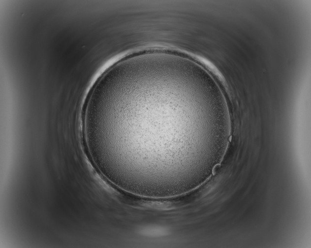 X0000086081287200703301120