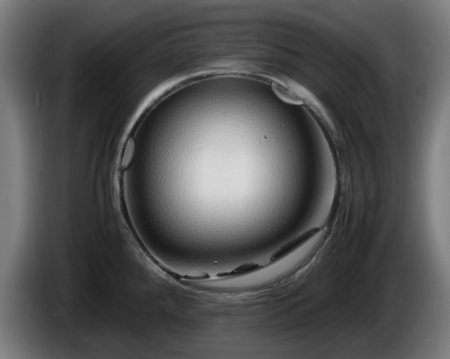 X0000086081288200703301120