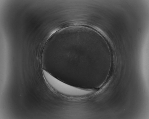 X0000086081289200703301120