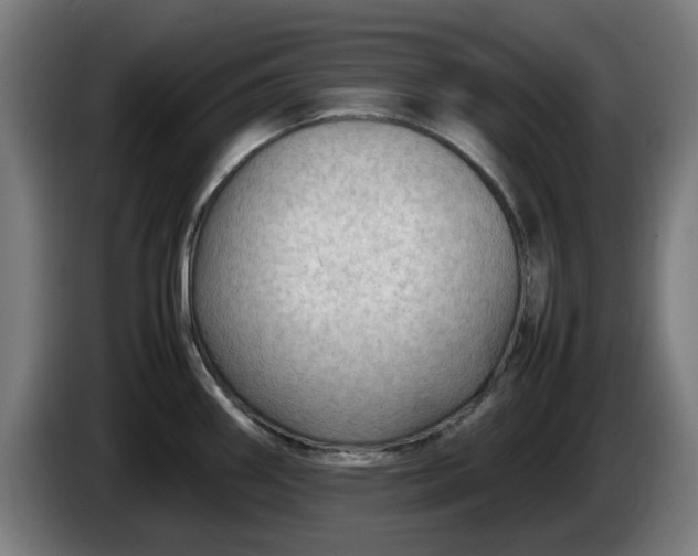 X0000086081290200703301120