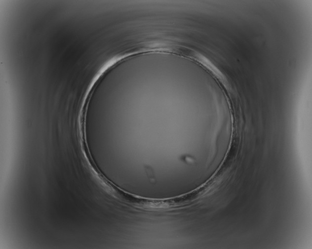 X0000086081291200703301120