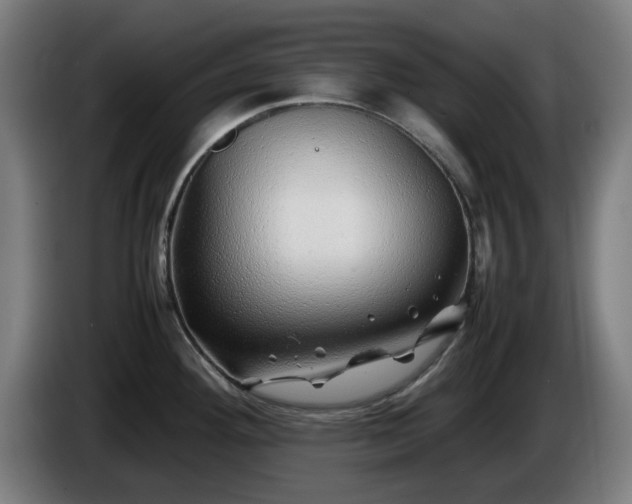 X0000086081292200703301120