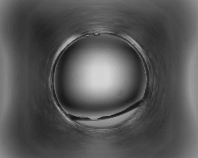 X0000086081293200703301120