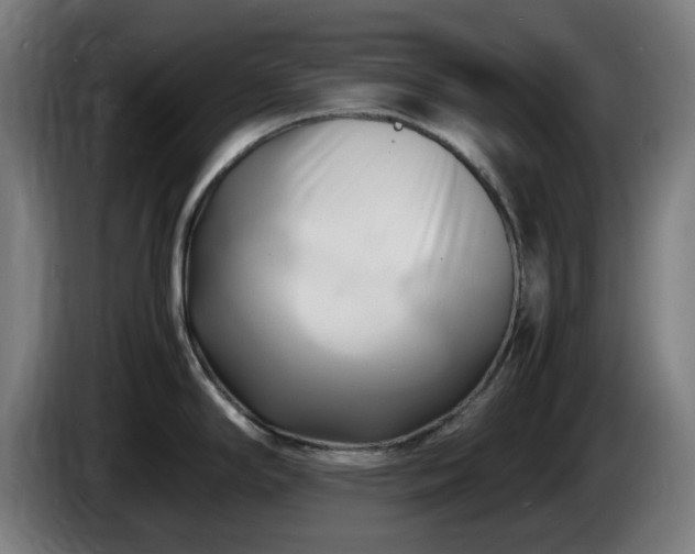 X0000086081294200703301120