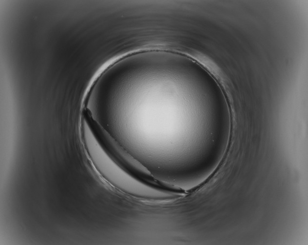 X0000086081296200703301120