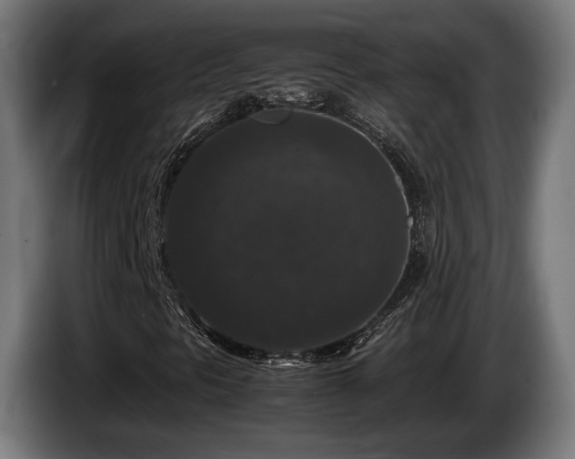 X0000086081297200703301119