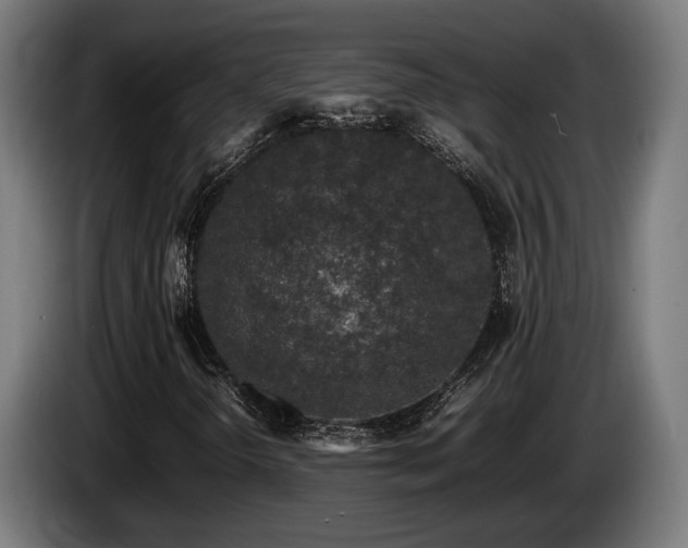 X0000086081298200703301119