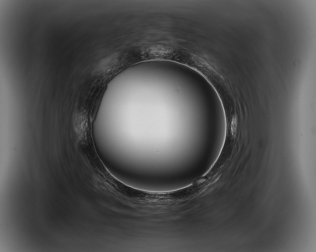 X0000086081299200703301119