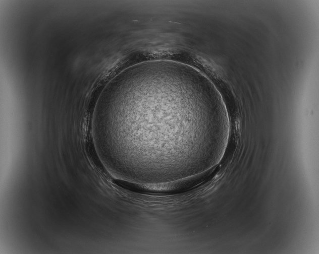 X0000086081300200703301119