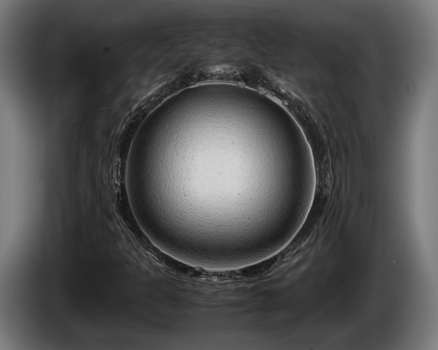 X0000086081301200703301119