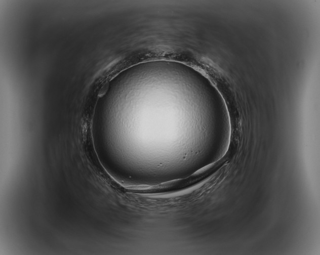 X0000086081302200703301119