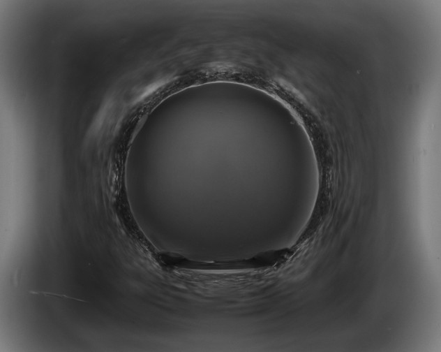 X0000086081303200703301119