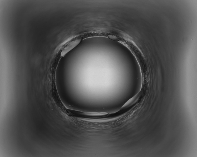 X0000086081304200703301119