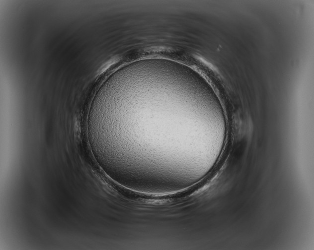 X0000086081305200703301119