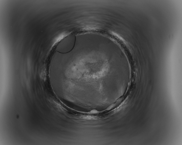 X0000086081306200703301119