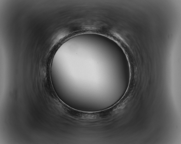 X0000086081307200703301119