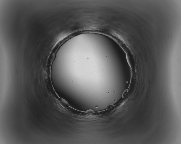 X0000086081308200703301119