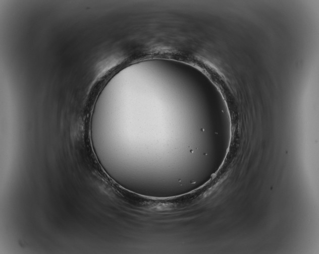 X0000086081309200703301119