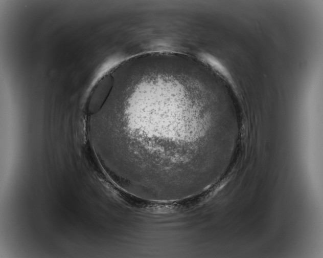 X0000086081310200703301119