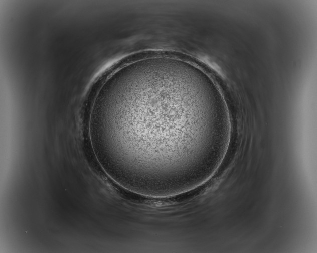 X0000086081311200703301119