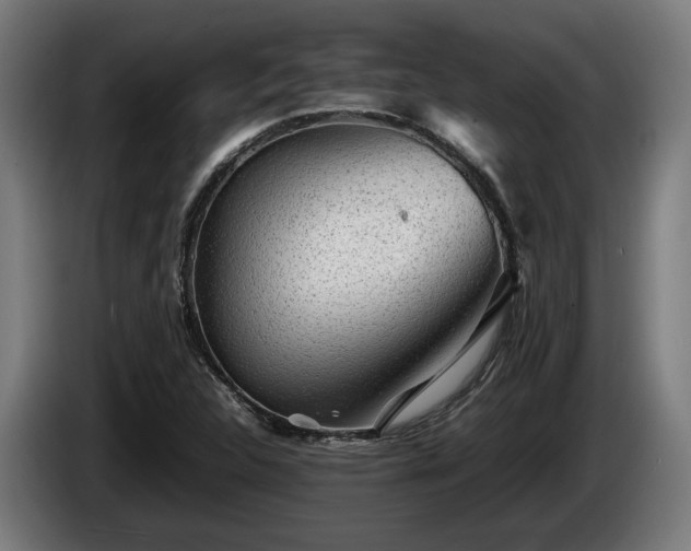 X0000086081312200703301119