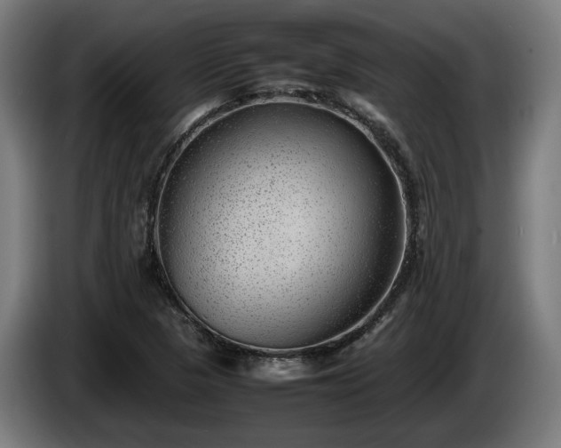 X0000086081313200703301119