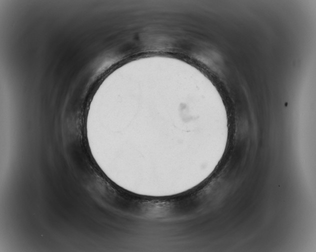 X0000086081314200703301119